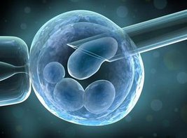 太原煤炭医院试管成功率