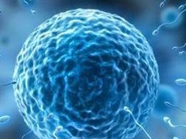 2026武汉市第一医院试管婴儿费用多少？大概在5，10万元左右