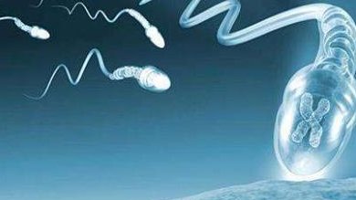 杭州是否有助孕试管的正规医院，谁有这家机构的相关介绍