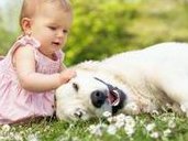 2026年去Time医院做三代试管最新收费一览，大概要花多少钱？