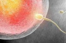 全肇庆三代试管婴儿成功率较高的医院成功率