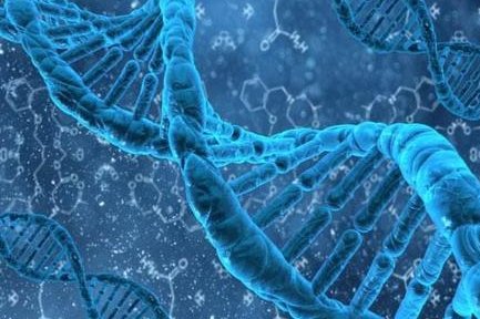 2026年艾滋病患者在香港做试管生健康宝宝可以实现吗？成功率有多少？