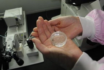 扬州私立试管机构新排名来了，费用明细清晰，助你快速锁定心仪机构