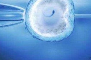 试管婴儿保胎用药很重要，这些用药方案赶紧收藏